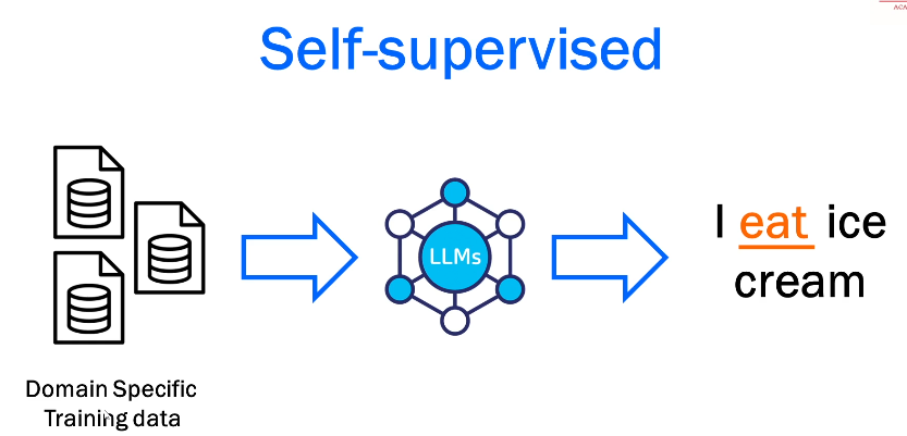 Self Supervised Training